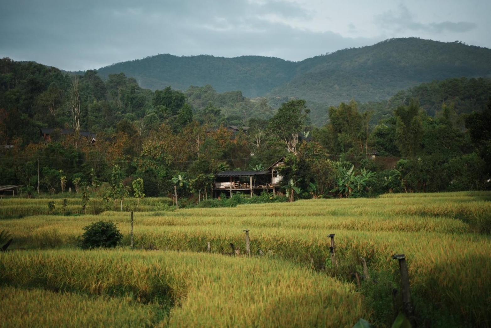 Por Joi ,Por Dee House Vandrehjem Chiang Mai Eksteriør billede